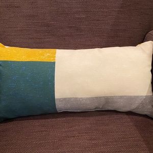 Indoor / outdoor accent pillows